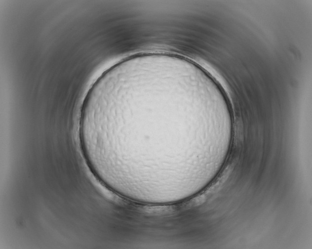 X0000112111437200909011136