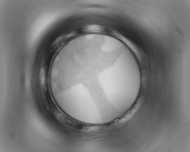 X0000112111438200909011136