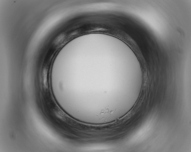 X0000112111439200909011136