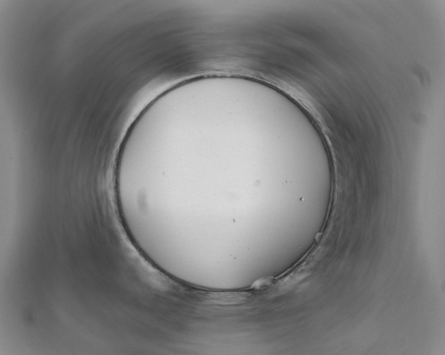 X0000112111440200909011136