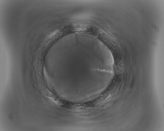 X0000112111441200909011135