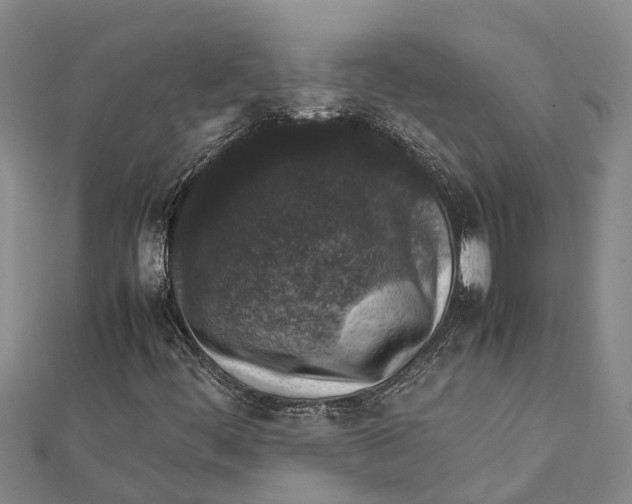 X0000112111444200909011135