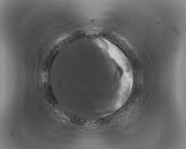 X0000112111445200909011135