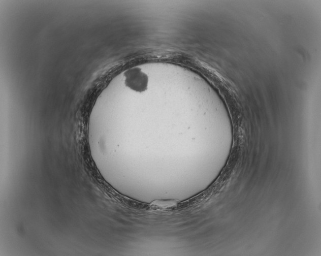 X0000112111447200909011135