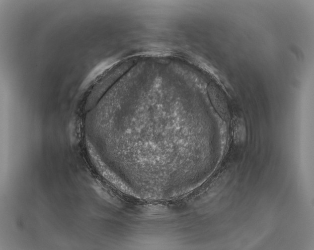 X0000112111448200909011135