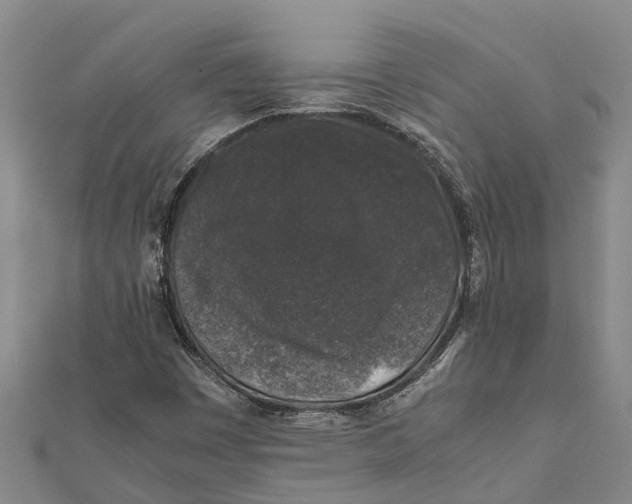 X0000112111449200909011135