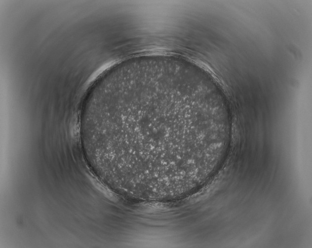 X0000112111450200909011135