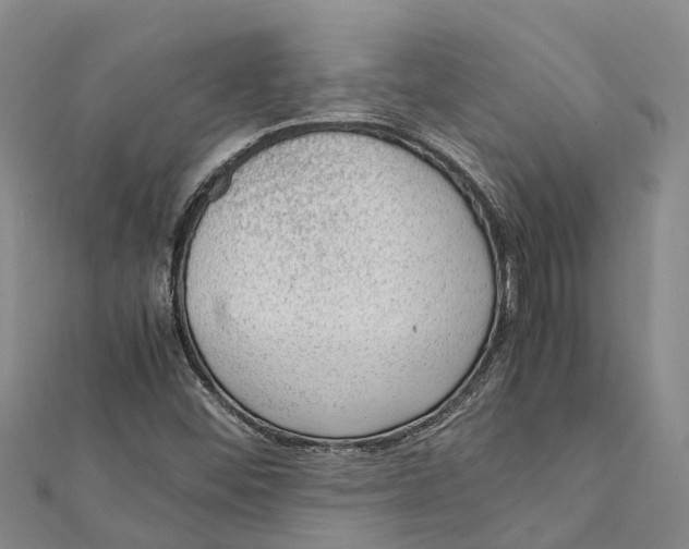 X0000112111452200909011135