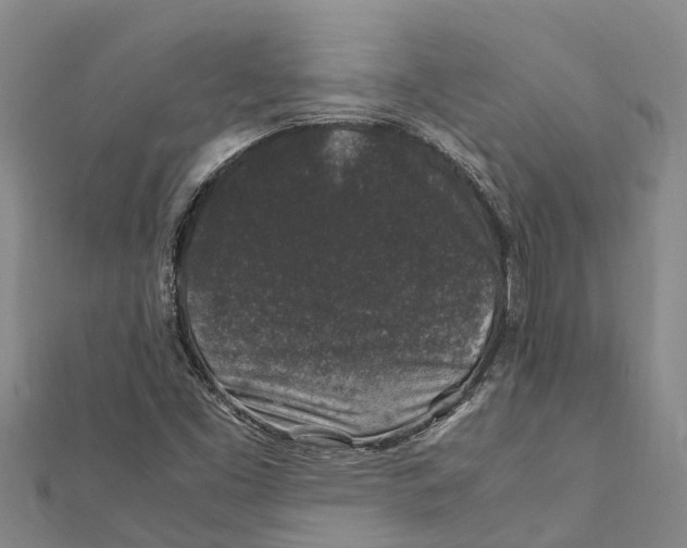 X0000112111453200909011135