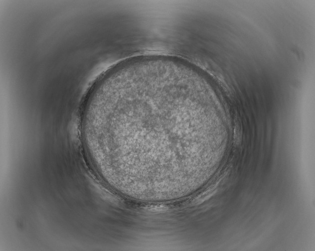 X0000112111454200909011135