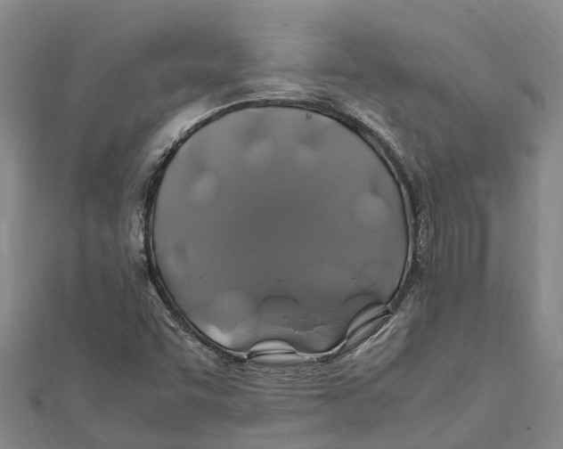 X0000112111455200909011135