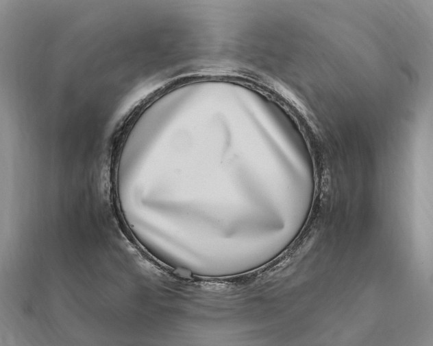 X0000112111456200909011135