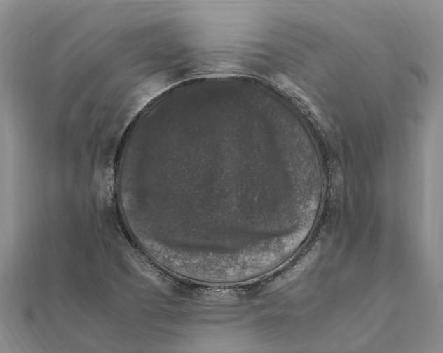 X0000112111457200909011135