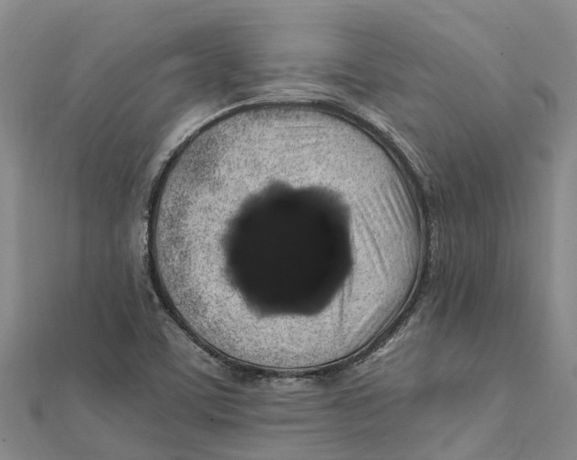 X0000112111459200909011135