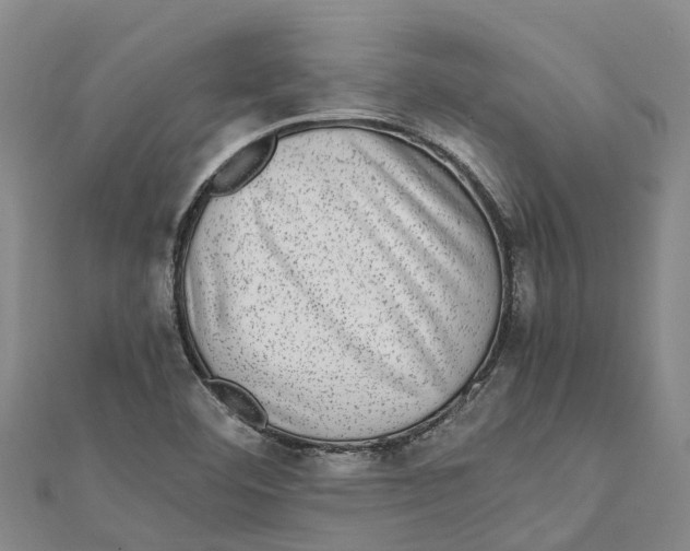 X0000112111460200909011135