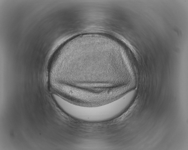 X0000112111461200909011135