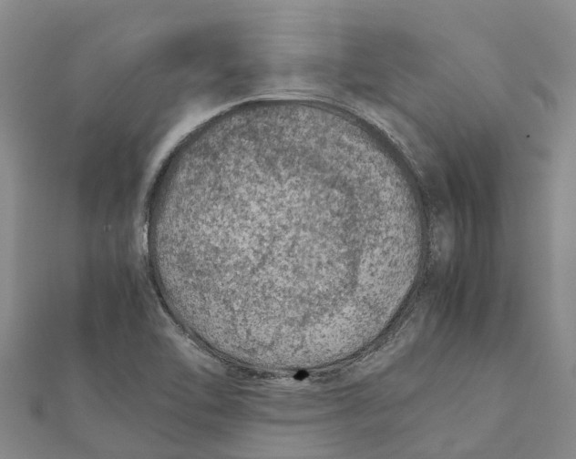 X0000112111462200909011135