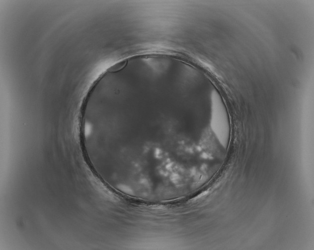 X0000112111463200909011135