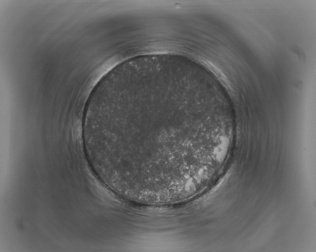 X0000112111465200909011135