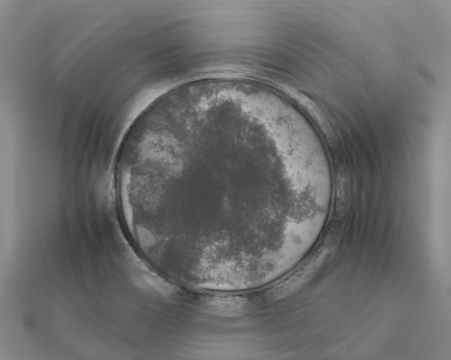 X0000112111466200909011135