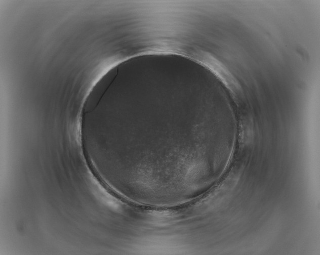 X0000112111468200909011135