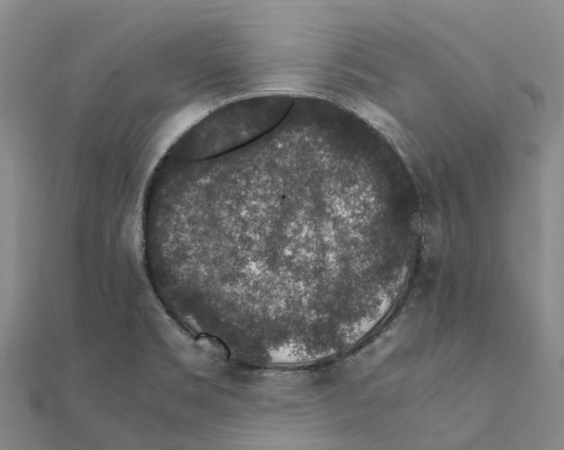 X0000112111469200909011135