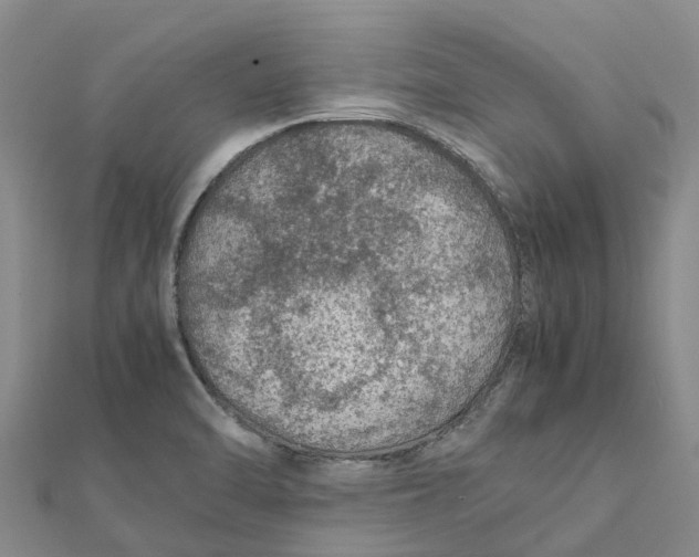 X0000112111470200909011135