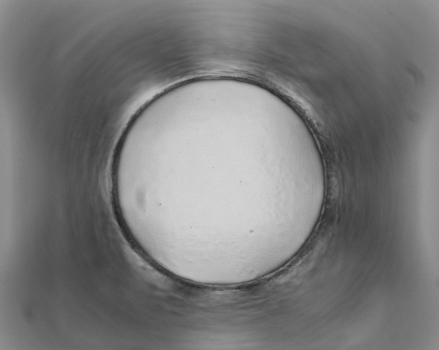 X0000112111471200909011135