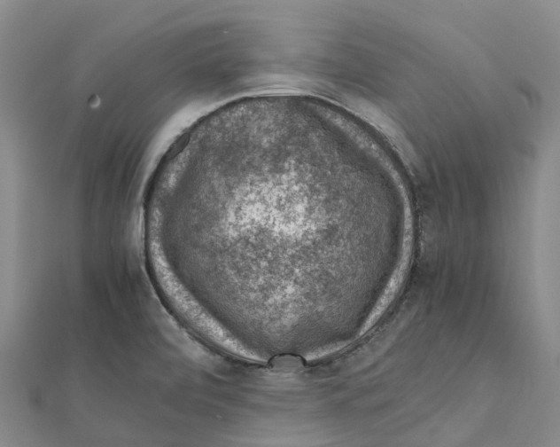 X0000112111472200909011135