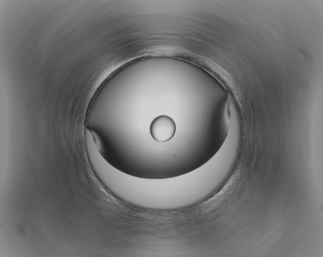 X0000112111473200909011135