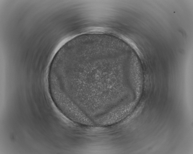 X0000112111475200909011135