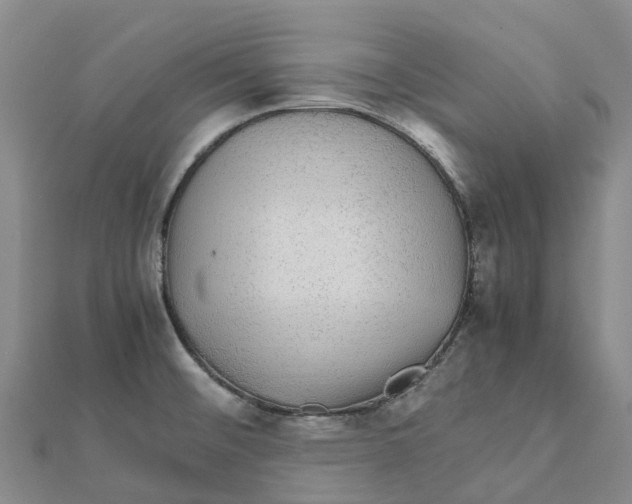 X0000112111476200909011135