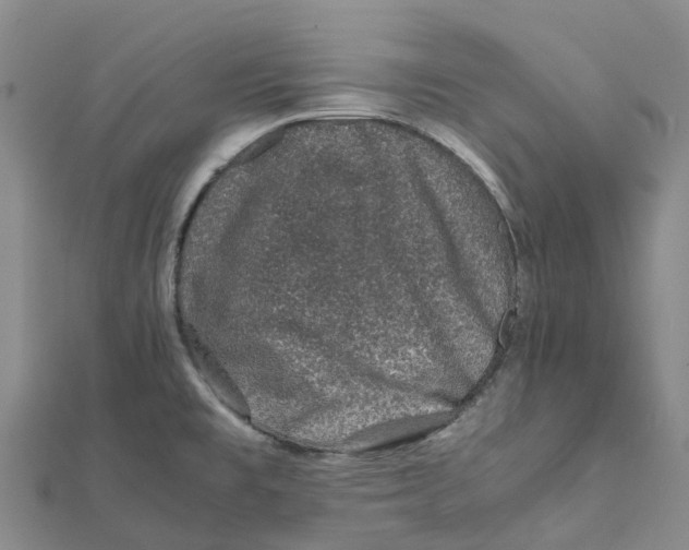 X0000112111477200909011135