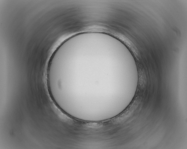 X0000112111478200909011135