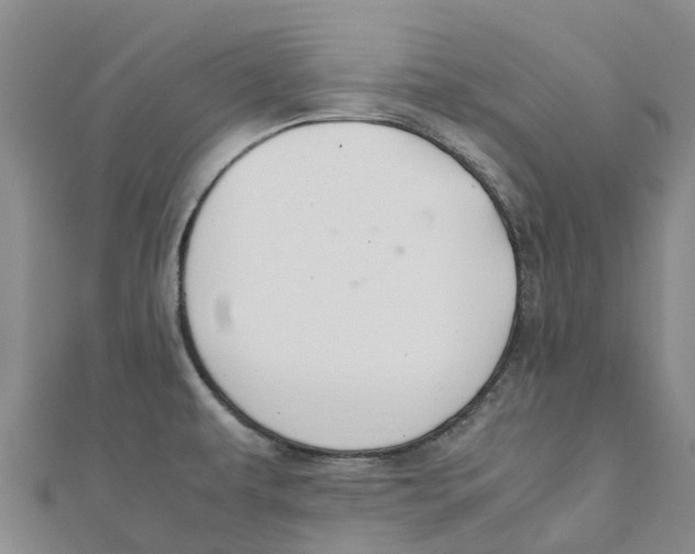 X0000112111479200909011135