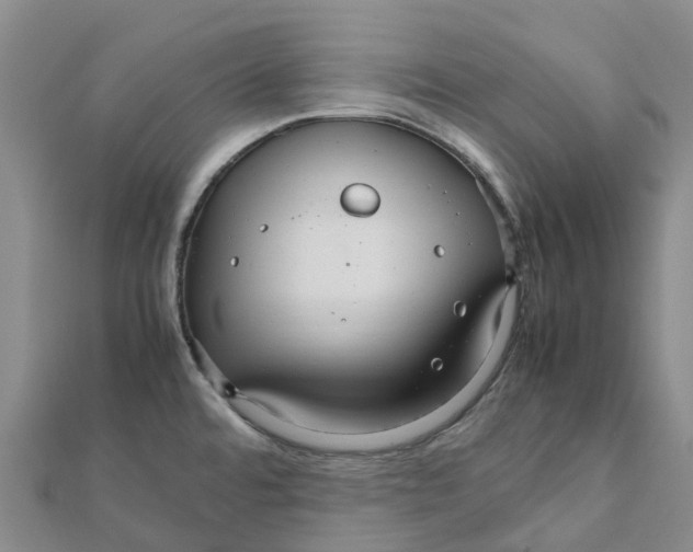 X0000112111480200909011135