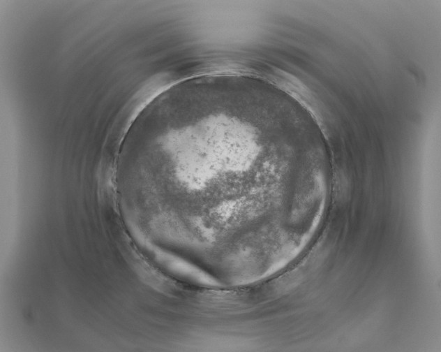 X0000112111481200909011135