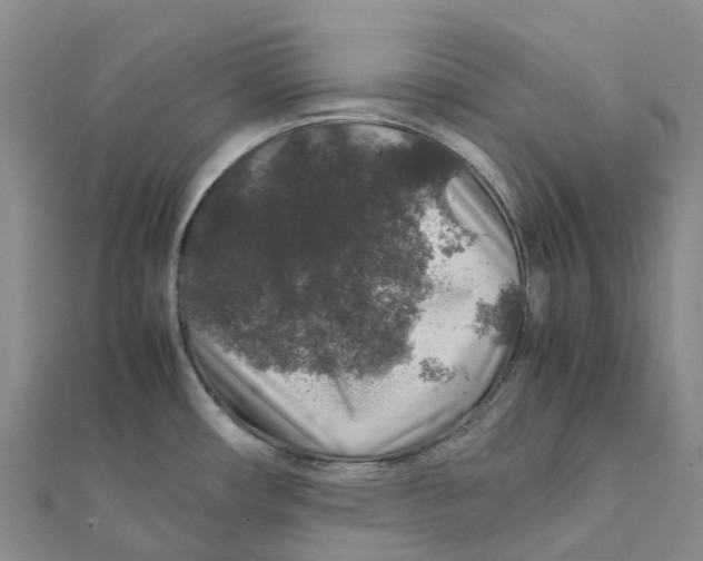 X0000112111482200909011135