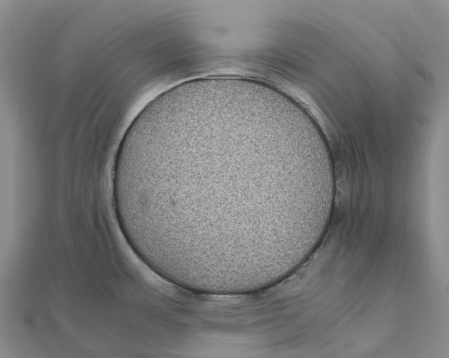 X0000112111483200909011135