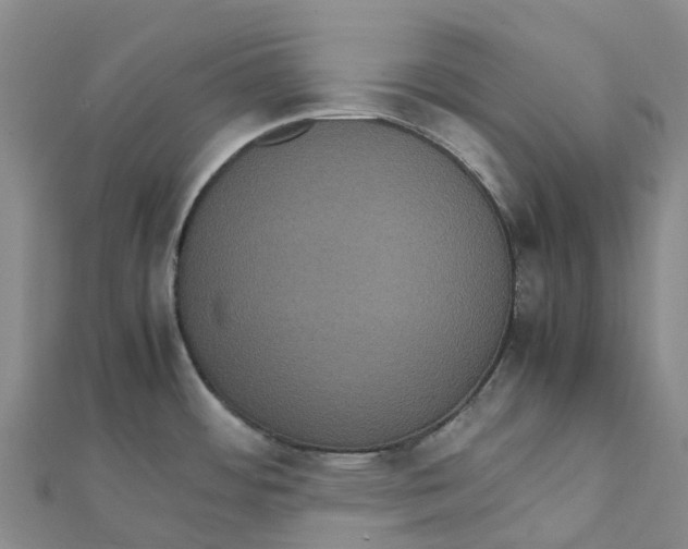 X0000112111484200909011135