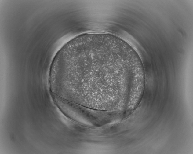 X0000112111485200909011135