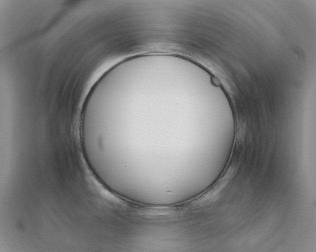 X0000112111486200909011135