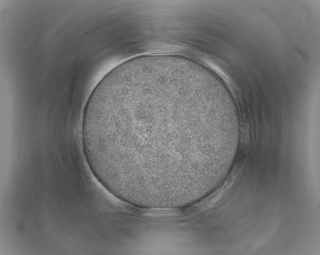 X0000112111487200909011135