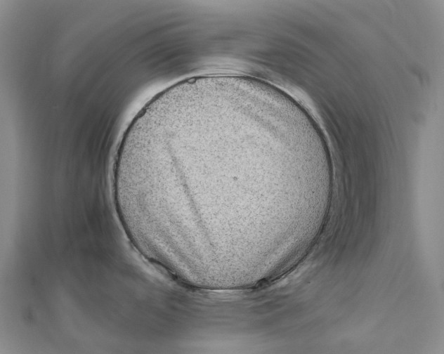 X0000112111488200909011135