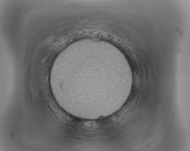 X0000112111489200909011134