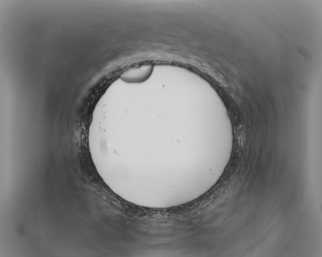 X0000112111495200909011134