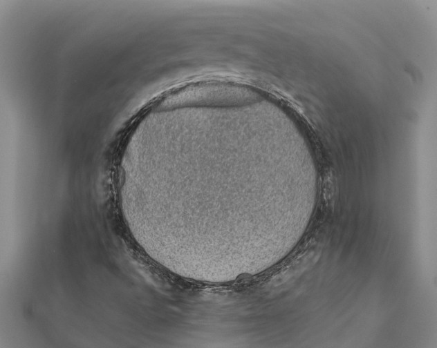 X0000112111496200909011134