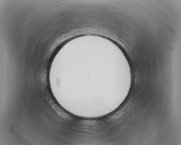 X0000112111499200909011134