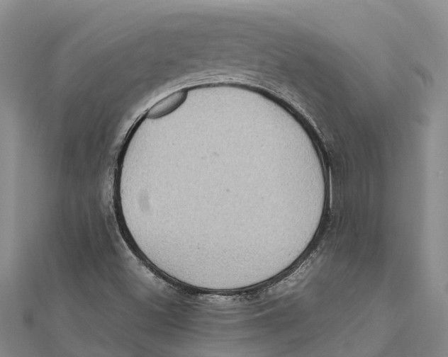 X0000112111500200909011134