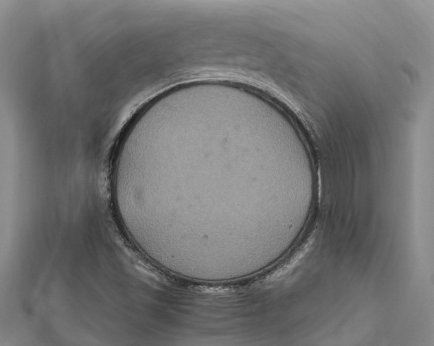 X0000112111501200909011134